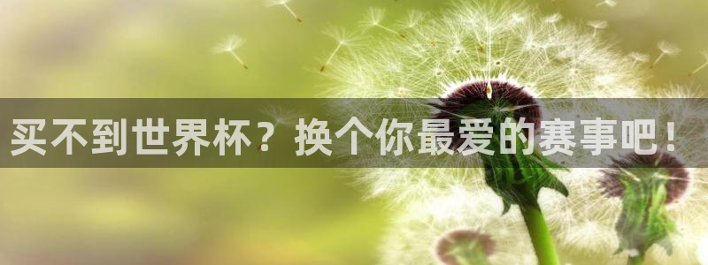 世界杯预选赛欧洲赛区赛程:买不到世界杯?换个你最爱的赛事吧!