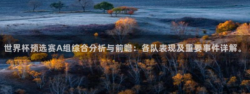 世界杯比赛：世界杯预选赛A组综合分析与前瞻：各队表现及重要事件详解。