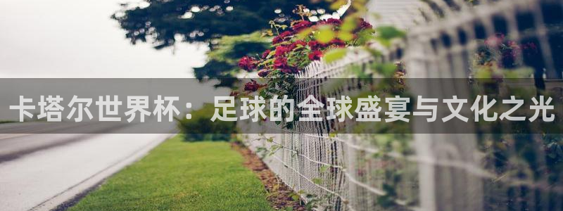 世预赛欧洲赛程表：卡塔尔世界杯：足球的全球盛宴与文化之光