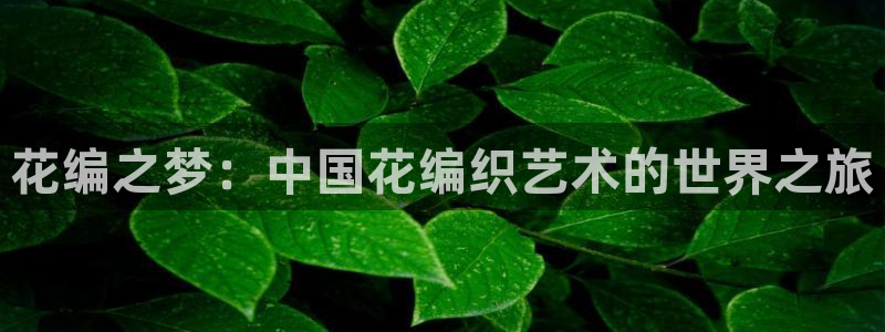 2026世界杯亚洲预选赛：花编之梦：中国花编织艺术的世界之旅