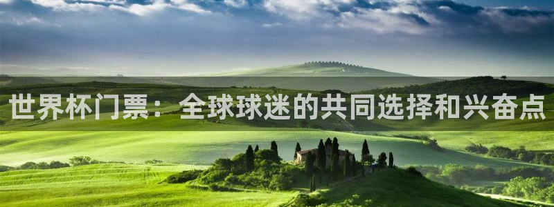 2026年足球世界杯赛程时间表：世界杯门票：全球球迷的共同选择和兴奋点