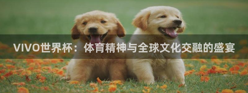 2026世界杯欧洲预选赛赛程表：VIVO世界杯：体育精神与全球文化交融的盛宴