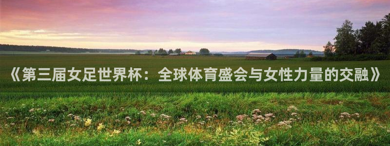 2026世界杯预选赛：《第三届女足世界杯：全球体育盛会与女性力量的交融》
