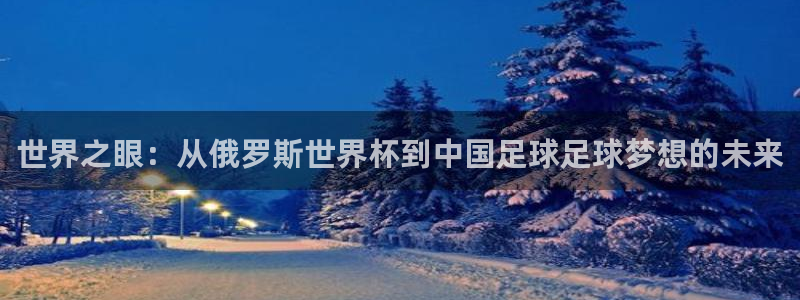 世界杯比赛：世界之眼：从俄罗斯世界杯到中国足球足球梦想的未来