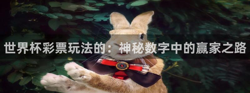 2006年世界杯冠军：世界杯彩票玩法的：神秘数字中的赢家之路