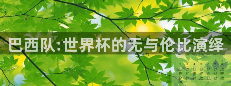 世界杯对阵表：巴西队:世界杯的无与伦比演绎